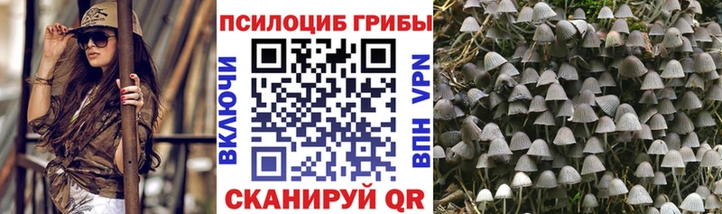 Псилоцибиновые грибы мицелий  Луза 